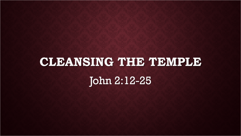 Cleansing of the Temple